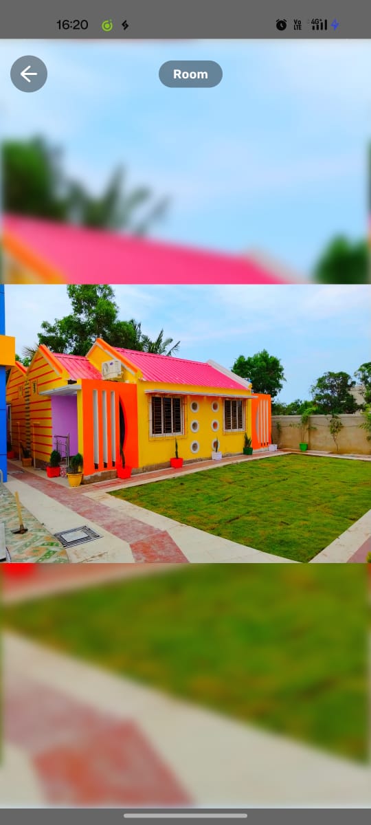 Garden & Lawns